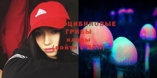 экстази Горнозаводск
