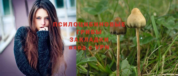 дживик Горно-Алтайск