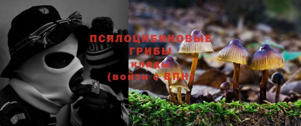 дживик Горно-Алтайск
